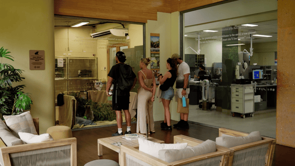 Wildlife hospital image