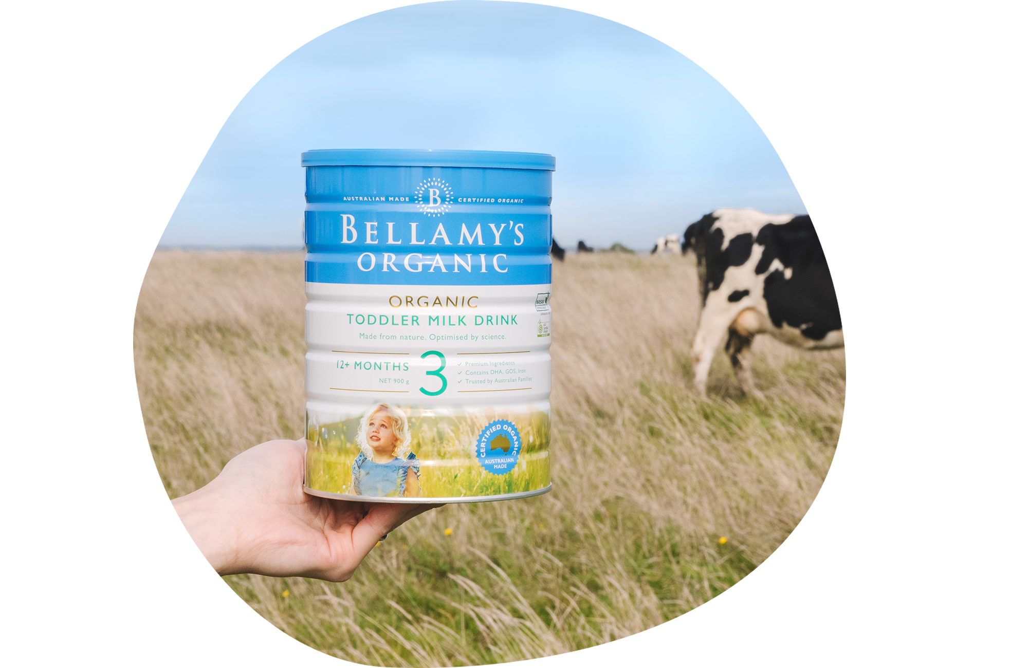 送料無料:赤ちゃん安全のBellamysベラミーズ・オーガニック牛ミルク2缶 送料無料:赤ちゃん安全のBellamysベラミーズ・オーガニック牛ミルク2缶