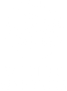Organisation logo